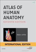 atlas of human anatomy 7th edition